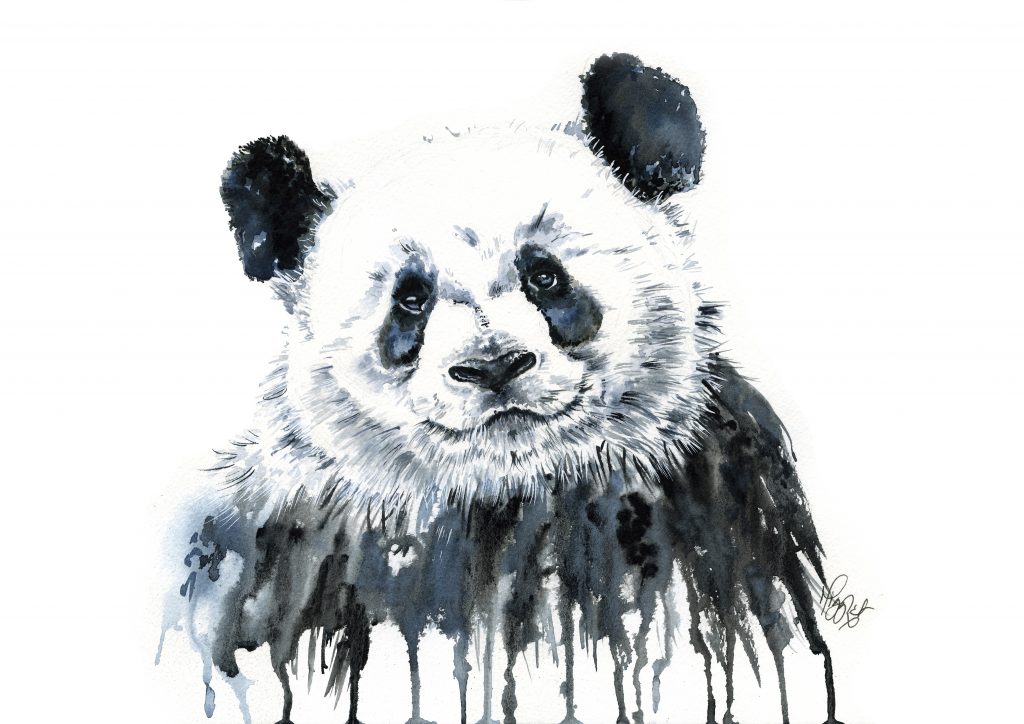 Panda canvas prints