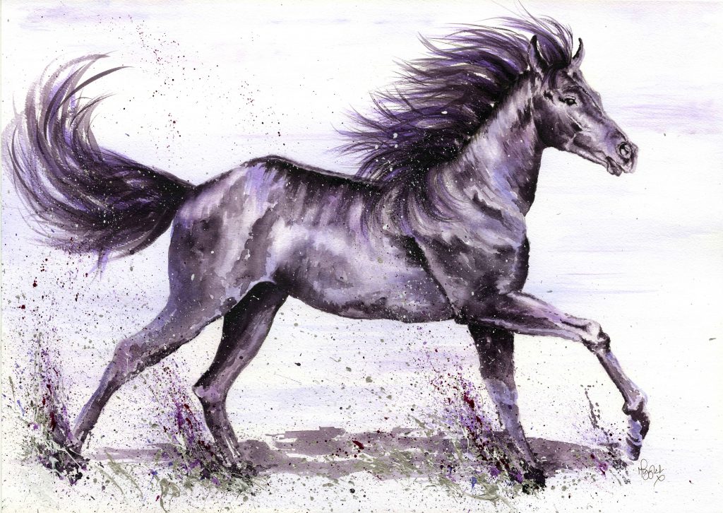 Horse canvas prints