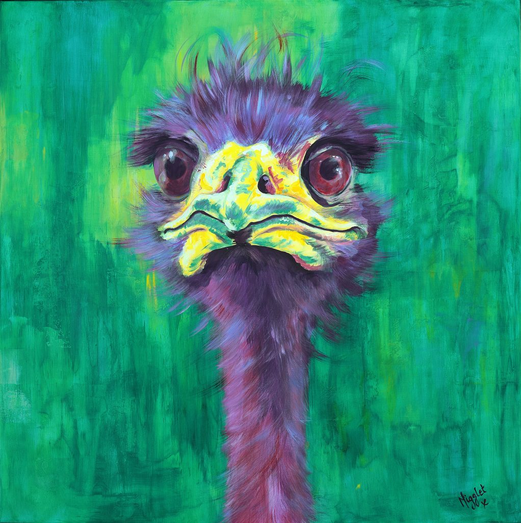 Ostrich Emu Canvas Prints