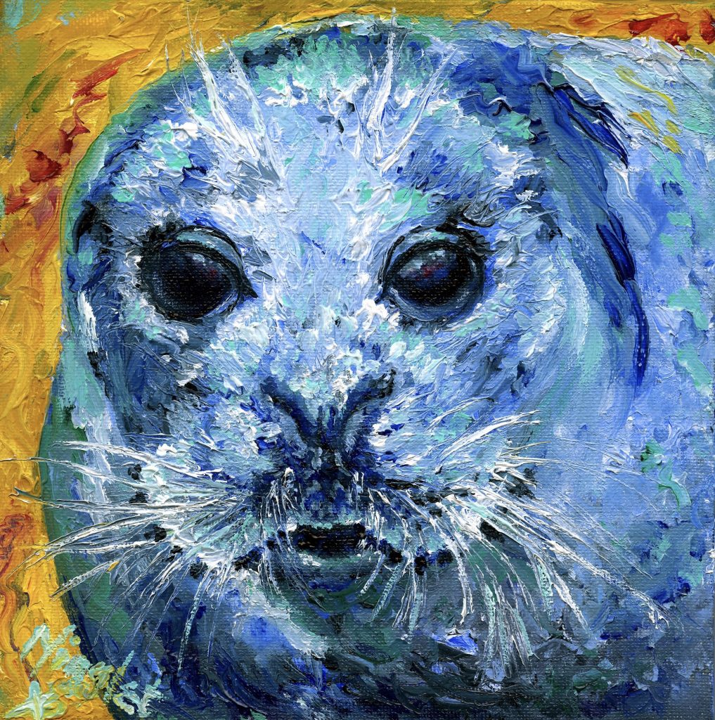 Seal Canvas Prints