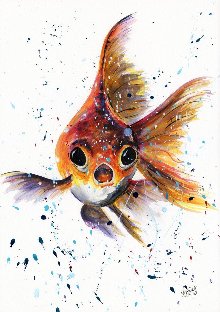 Tropical Fish Canvas Prints